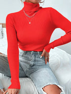 Clothing Pull Sweater